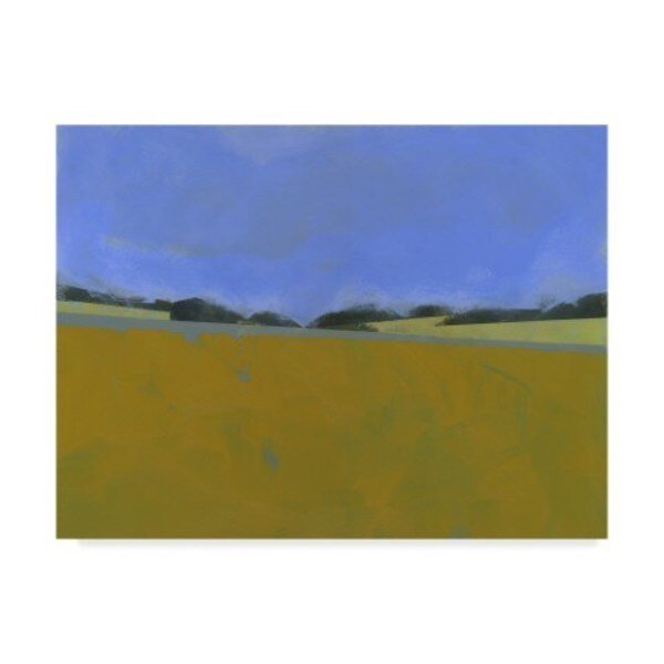 Paul Bailey 'Distant Flax' Canvas Art, 35x47, Trademark Fine Art, Mfr#: WAG08267-C3547GG